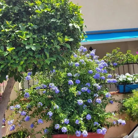 דירה My Little House - Con Patio E Parcheggio Privato A 5 Minuti Dalla E Dal Centro *