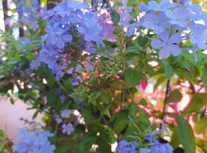 My Little House - Con Patio E Parcheggio Privato A 5 Minuti Dalla E Dal Centro * טרופאה