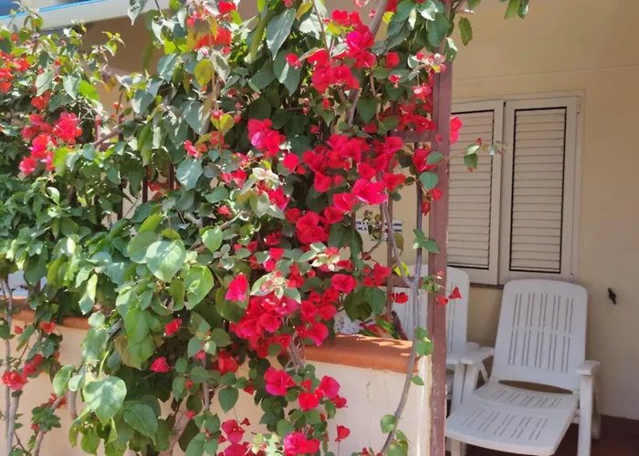 דירה My Little House - Con Patio E Parcheggio Privato A 5 Minuti Dalla E Dal Centro