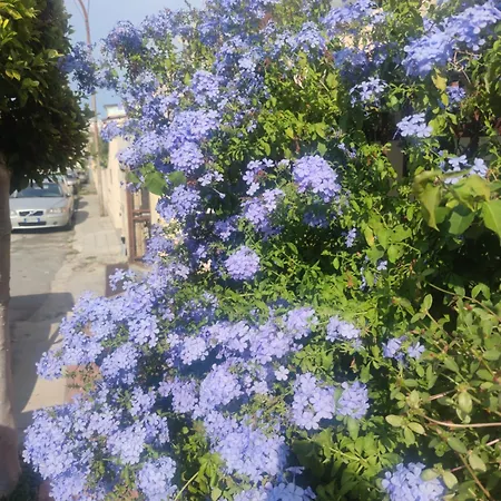 My Little House - Con Patio E Parcheggio Privato A 5 Minuti Dalla E Dal Centro 트로페아