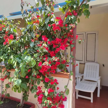 아파트 My Little House - Con Patio E Parcheggio Privato A 5 Minuti Dalla E Dal Centro