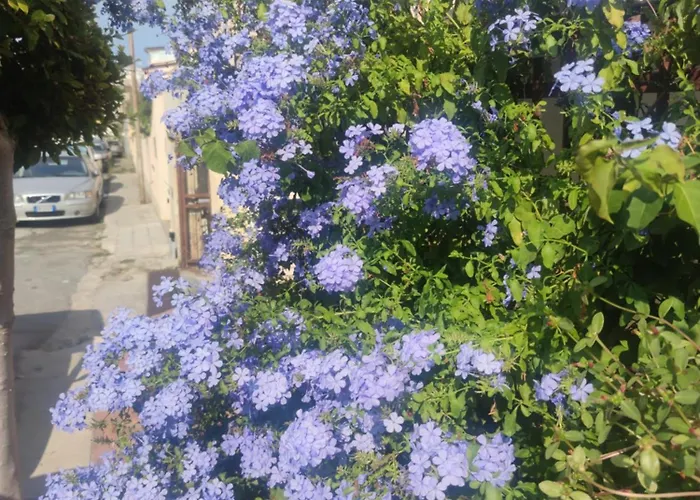 My Little House - Con Patio E Parcheggio Privato A 5 Minuti Dalla E Dal Centro Tropea