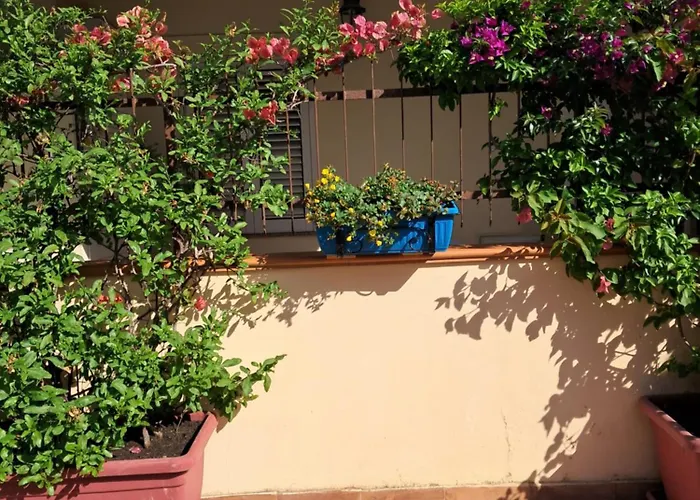 My Little House - Con Patio E Parcheggio Privato A 5 Minuti Dalla E Dal Centro * Tropea